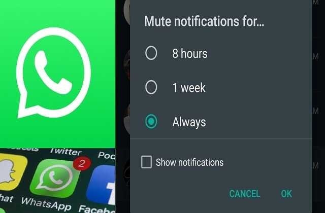 whatsapp-rolls-out-always-mute-feature-for-chats--1_optimized