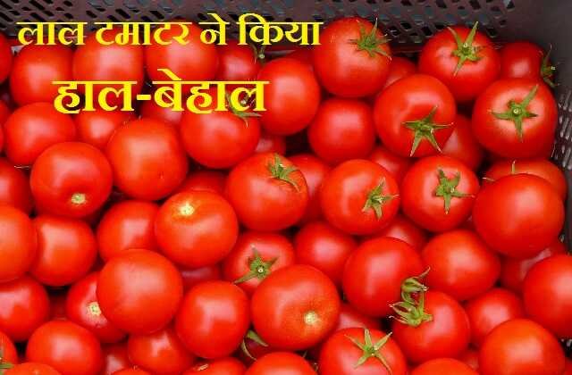 Tomatoes-price-high potatoes-green-vegetables follow tomato