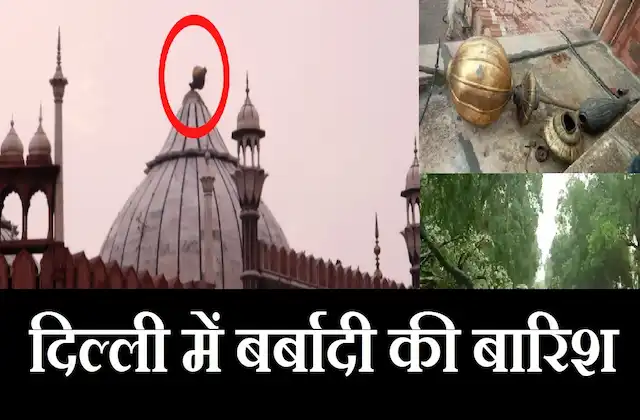 Video-Delhi-Jama-Masjids-dome-collapsed-tree-unrooted-due-to-strong-storm-and-heavy-rain-two-died-flights-delayed-traffic-Jam