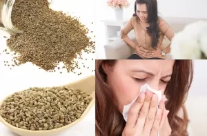 Ajwain-anti-bacterial-properties-curing-stomach-problems-cold-ajwain-benefits-in-hindi