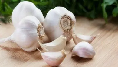 Consuming garlic lowers cholesterol, हाँ सच है लहसुन खाने से होता है कोलेस्ट्रॉल कम, Health Tips cholesterol problem, lahsun ke fayade