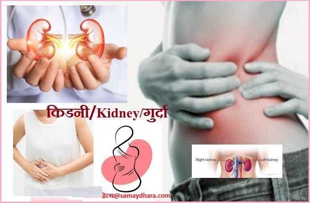 Women’s Day 2026 Health Alert Kidney Disease