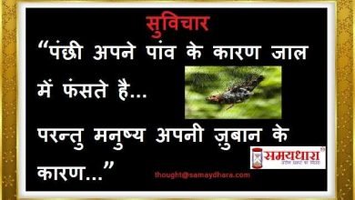 monday-thoughts suvichar-suprabhat monday-vibes motivational-quote-in-hindi, पंछी अपने पांव के कारण  जाल में फंसते है  परंतु मनुष्य अपनी जुबान  के कारण...