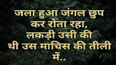 saturday-thoughts suvichar motivation-quote-in-hindi thought-of-the-day, SaturdayThought : जला हुआ जंगल-छुपकर रोता रहा,लकड़ी उसी की थी उस माचिस की तीली में.... 