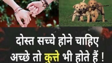 friends-thoughts friendship-messages thursday-thoughts suvichar-motivational-quote-in-hindi,दोस्त सच्चें होने चाहिए,अच्छे तो कुत्तें भी होते