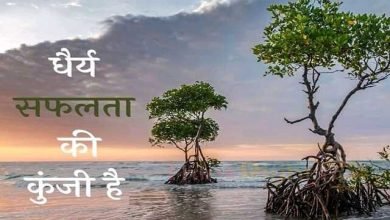 sunday-thoughts suvichar-suprabhat thought-of-the-day motivational-quote-in-hindi, Thoughts : धैर्य सफलता की कुंजी है...,SUNDAY VIBES