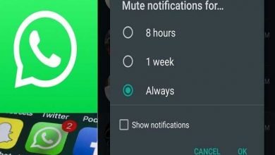 whatsapp-rolls-out-always-mute-feature-for-chats--1_optimized