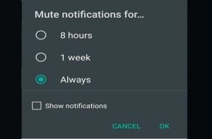 whatsapp-rolls-out-always-mute-feature-for-chats-on-android-and--ios_optimized