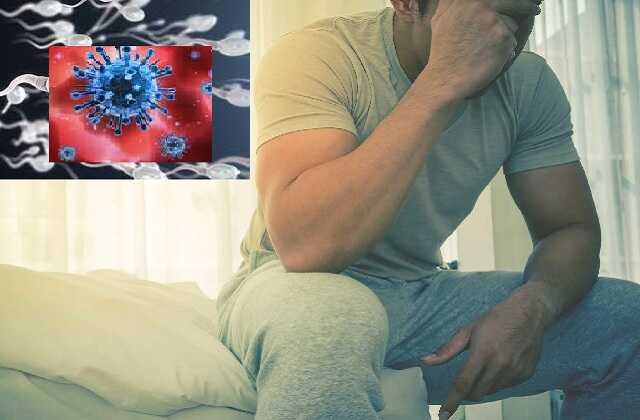coronavirus-is-increasing-infertility-in-men-or-reduces-the-ability-to-become-father-1_optimized