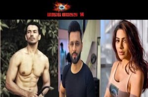 bigg-boss14--abhinav-shukla--become-2nd-finalist-by-win-immunity-task-defeated-nikki-tamboli-_optimized