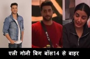 bigg-boss14-aly-goni-evicted-from-bb14-house-1_optimized