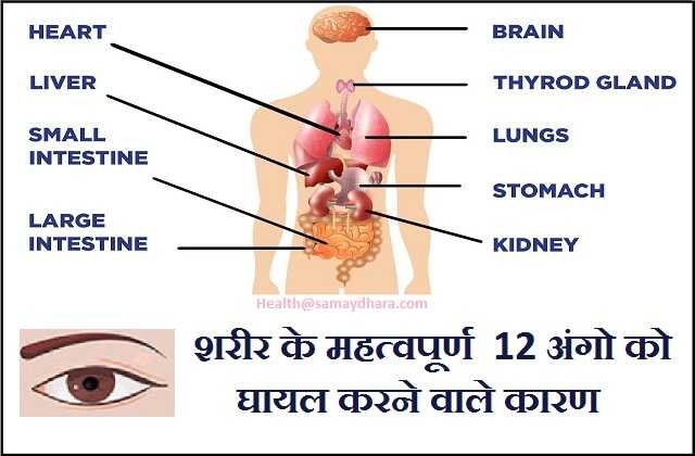 sharir-ke-ango ko ghayal-karne-vale karan, अपने शरीर के महत्वपूर्ण  12 अंगो को घायल करने वाले कारण बताएँगे, health news updates in hindi