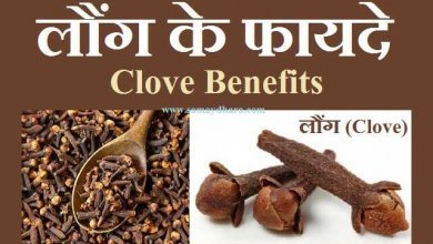 Benefits of Clove in Hindi, -laung-ke-fayade, laung-ki-chai, cloves-tea-benefits, लौंग के यह ढेर सारे फायदे खोल देंगे आपकी सेहत के बंद तालें, benefits of clove in hindi, benefits of laung sexually, clove side effect, clove tea benefits, cloves benefits, eating raw cloves daily, How many cloves per day is safe?, laung benefits for cough, laung benefits for skin, laung benefits for teeth, laung benefits in hindi, laung ke fayade laung ki chai, What are benefits of cloves?, What are the side effects of cloves?, लौंग, लौंग के फायदे व नुकसान, लौंग के फायदे\, लौंग के साइड इफ़ेक्ट