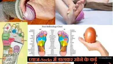 Simple Health Tips For Everyone Many miraculous benefits of onion sock, प्याज को मौजे में डाल सो जा यार, कई सारी बीमारियों से हो जा पार.