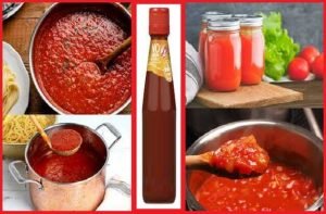टमाटर सॉस (TOMATO SAUCE)
