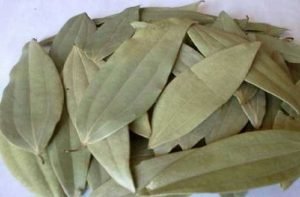 bay-leaf-tejpatta-min