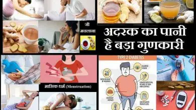 Ginger-medicinal-uses-health-benefits-of-giner-diabetes-weight-loss-menstruation