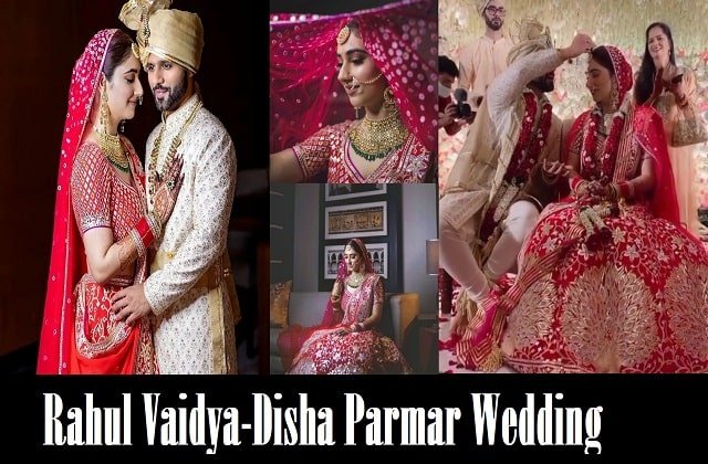 Rahul Vaidya-Disha Parmar marriage photos-videos-thedishul wedding album-min
