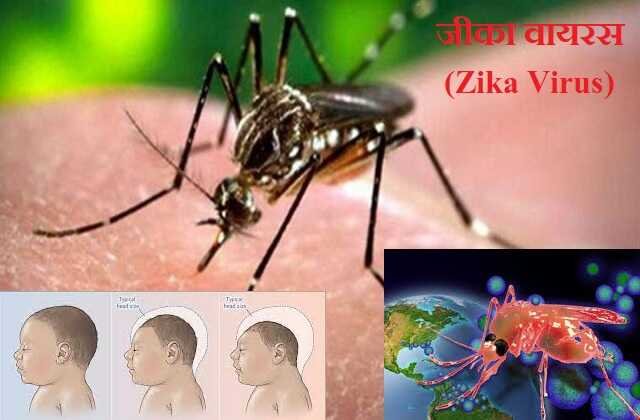 what is zika virus..? know the symptoms, भारत में आया Zika Virus..! क्या है यह बला..? नयी या पुरानीं..? जाने सब कुछ, zika virus symptoms
