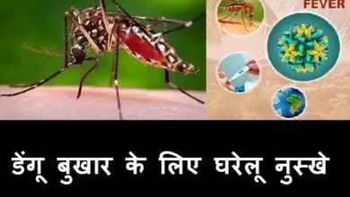 Dengue-fever-symptoms- causes-dengue-fever treatment-home remedies