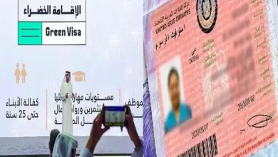 uae green visa introduces new residency guidelines for foreigners, UAE में अब स्पॉन्सरशिप के बिना काम करने की अनुमति, वीजा के नए नियम