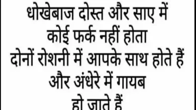 Thursday Thoughts in hindi inspirational quotes good morning images in hindi suvichar-suprabhat, Thoughts-धोखेबाज दोस्त और साए में कोई फर्क..