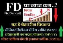 Interest in FD at lowest level know what are other safe options, FD में ब्याज सबसे निचले स्तर पर, जानियें क्या है अन्य सुरक्षित विकल्प
