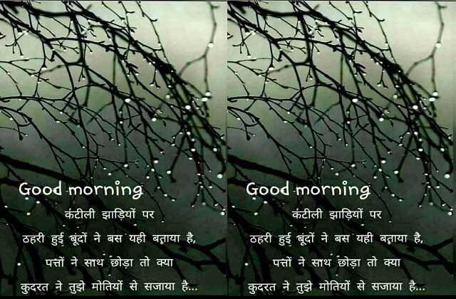 Wednesday Thoughts in hindi Suvichar in hindi Good Morning images in hindi, कटीली झाड़ियों परठहरी हुई बूंदों ने बस यही बताया है पत्तों ने साथ छोड़ो तो क्या कुदरत ने तुझे मोतियों से सजाया है 