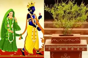 Dev uthani Ekadashi vrat tithi-tulsi vivah 2021 shubh muhurat-puja-vidhi