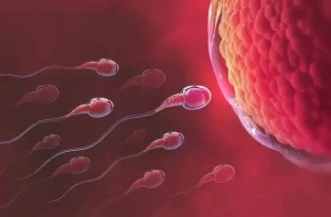 Male-Infertility-symptoms-treatment-of-male-infertility-causes-2