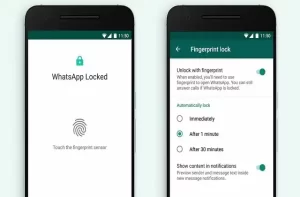 Whatsapp-feature-how-to-hide-Whatsapp-chat-with-finger-print- lock-2