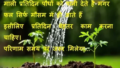 Tuesday-thoughts-good-morning-images-motivation-quotes-in-Hindi-inspirational-mangalwar-suvichar.jpg-b