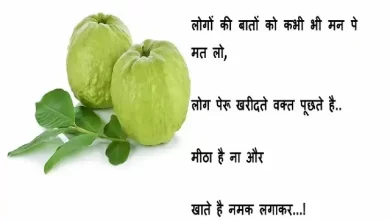 Wednesday thoughts-good-morning-images-motivation-qutoes-in-hindi-inspirational-suvichar-a