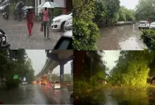 Delhi-NCR Rain-strong winds from morning many parts-uprooted-tree-roads-block-flights-delayed