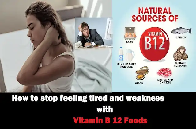 how to stop feeling tired and weakness even after good sleep-Eat-Vitamin b 12 rich foods