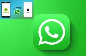 Whatsapp rollout How to Transfer WhatsApp data from Android to iPhone