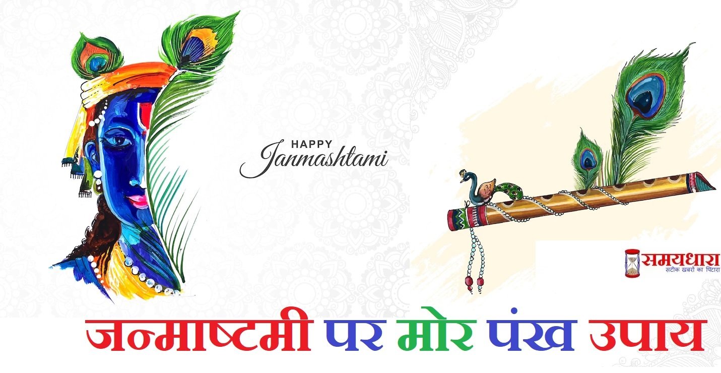 Krishna Janmashtami-mor-pankh-upay-for-positivity-peacock-feathers-vastu-tips