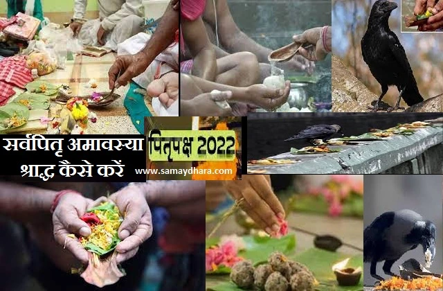 pitru paksha amavasya 2022 date time niyam shradh vidhi in hindi, sarvapitru amavasya 2022