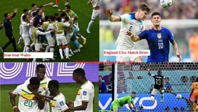 Highlights FIFA World Cup 2022 Day6 iran beat Wales Senegal Beat Qatar NetherlandsvsEcudor EnglandvsUSA Match Draw,