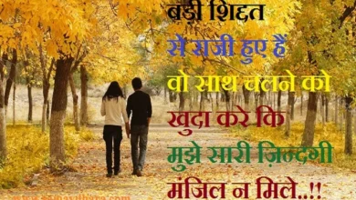 Shayri ki duniya tera sath sayari jindagi manjil shayaris in hindi indian shayaris,