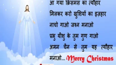 Merry-Christmas-quotes-in-hindi-happy-new-year-wishes-status-merry-christmas-day-images-Hindi-Shayari-7