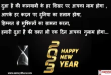 Happy New Year 2023 wishes-Quotes-new-year-Shayari-in-Hindi- happy-new-year-hd- images-Messages-8