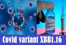 Covid Omicron sub variant XBB1.16 found in India says INSACOG data- XBB116-symptoms-treatment-details
