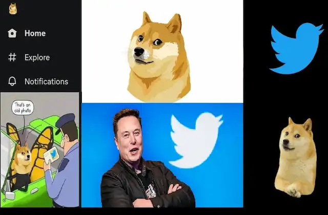 Twitter logo is changed with a DOGE-Elon musk-updates-Dogecoin-as-logo