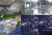 Cyclone Biparjoy Live Alert Gujarat Trees uprooted hoardings fell Heavy rainfall accompanied by strong winds