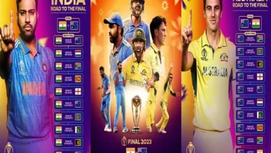 ICC WorldCup Final Australia vs India Match Preview Pitch Report AUSvIND Cricbuzz Live Score
