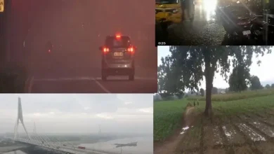 Unseasonable Rain In India Along With Gujarat Maharashtra 27 People Died IMD Alert,