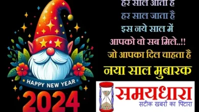 Happy New Year 2024 Hindi Shayari-New-Year-Eve-Wishes Reels Shorts Status Images , Happy New Year 2024 -