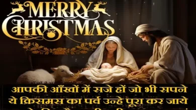 Merry-Christmas-Wishes-Whatsapp-Status-Reels-Shorts-in-Hindi, Merry Christmas aapki aankhon me saje ho jo bhi sapne