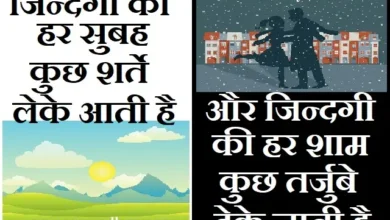 Saturday Status Thoughts Quotes Vibes Suvichar Good Morning Suprabhat Inspirational Lifestyle, jindagi ki har subah kuchh sharte leke aati hai aur jindagi ki har sham kuchh tajurbe deke jati hai